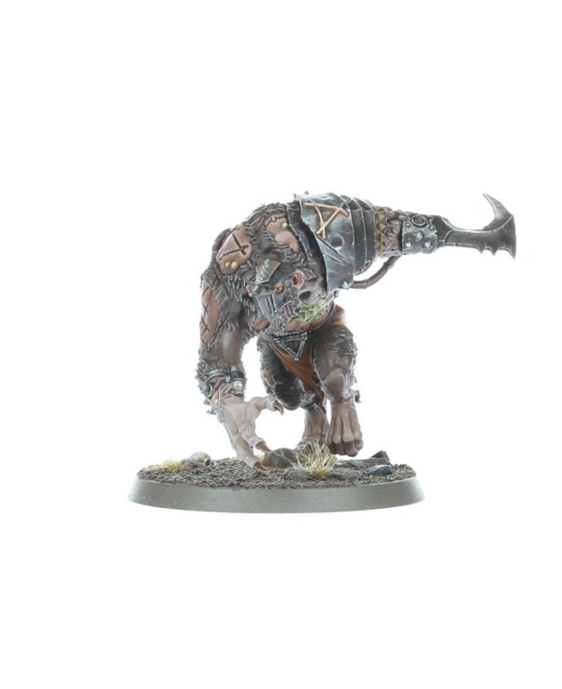Warhammer Age of Sigmar Starter Set - Beginner Box