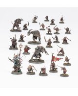 Warhammer Age of Sigmar Starter Set - Beginner Box