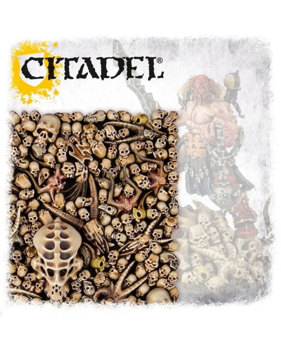 Citadel Skulls | Citadel Colour