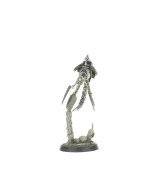 Warhammer 40K Kill Team: Canoptek Circle - Necrons
