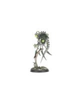 Warhammer 40K Kill Team: Canoptek Circle - Necrons